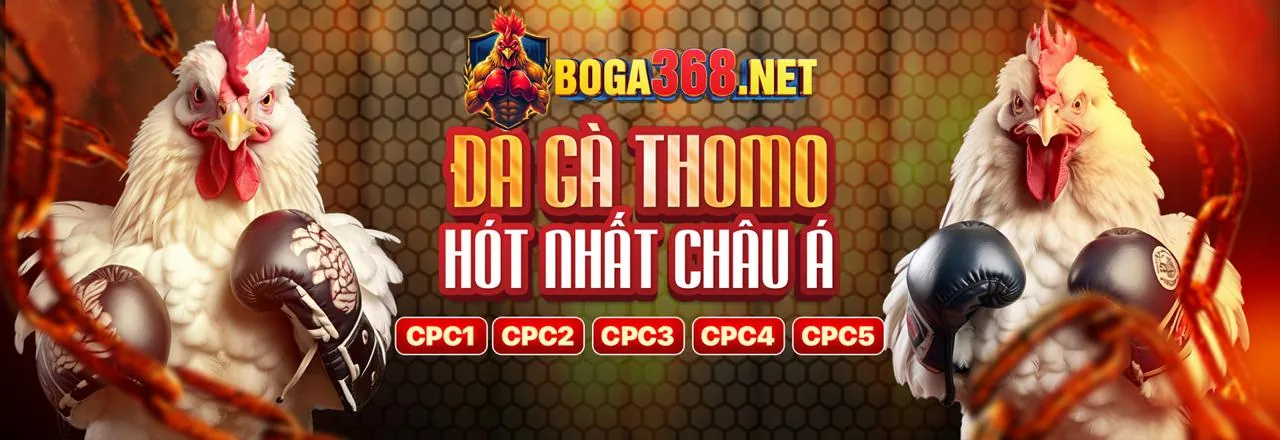 Chương Trình Giới Thiệu Bạn Bè Nhận Hoa Hồng Hấp Dẫn